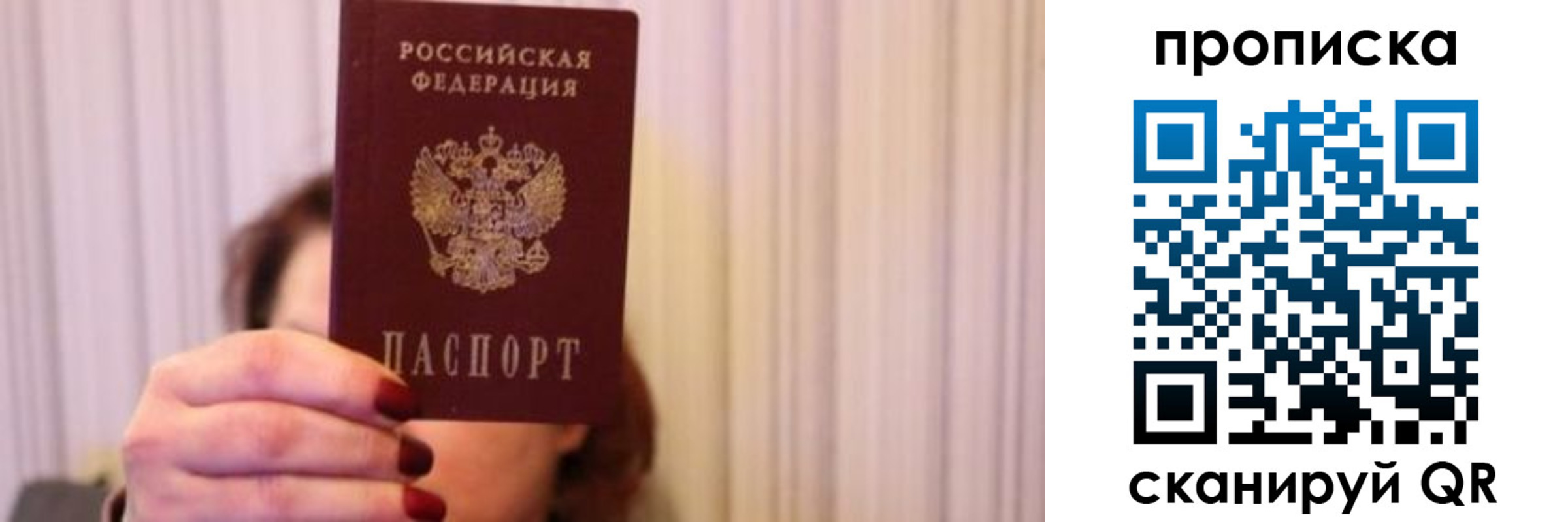прописка поиск в Светлогорске