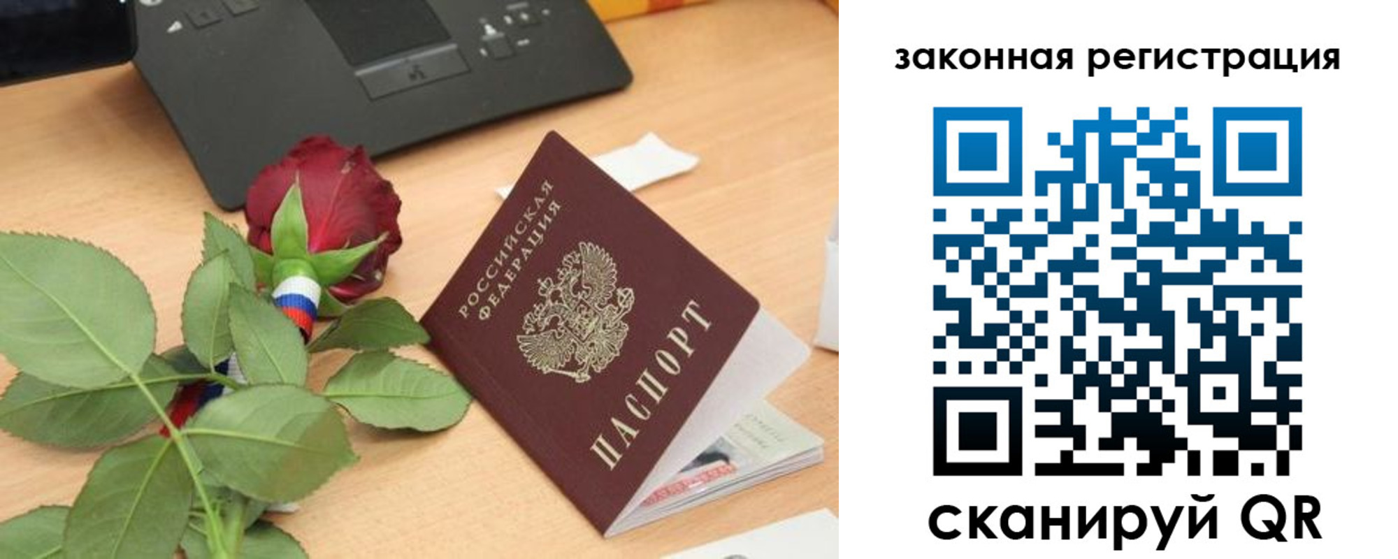 прописка в Светлогорске