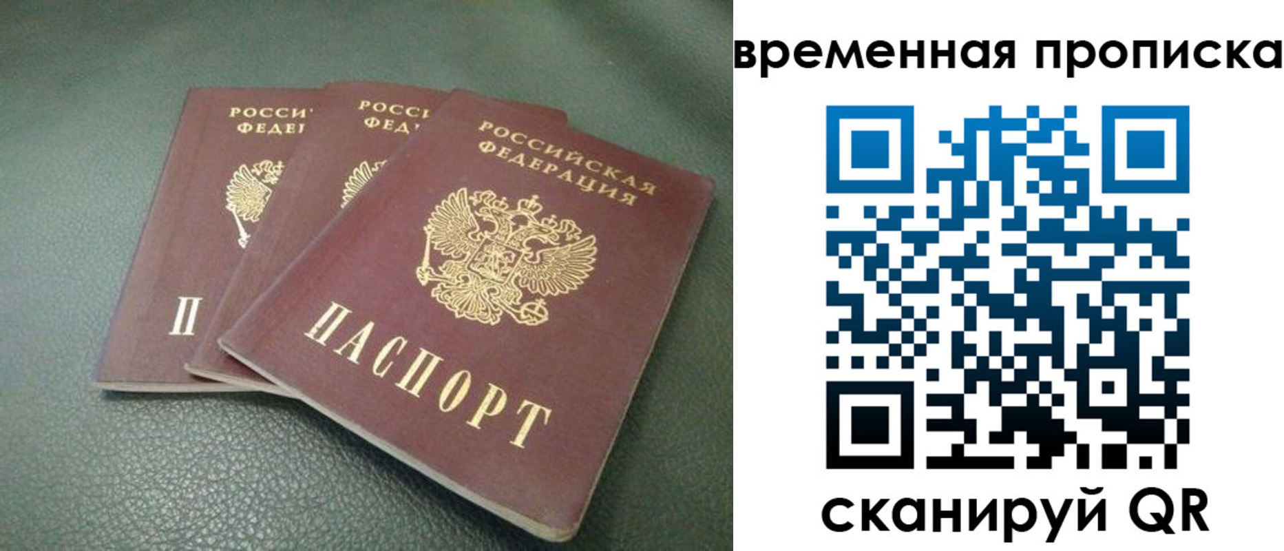 прописка гарантия в Светлогорске